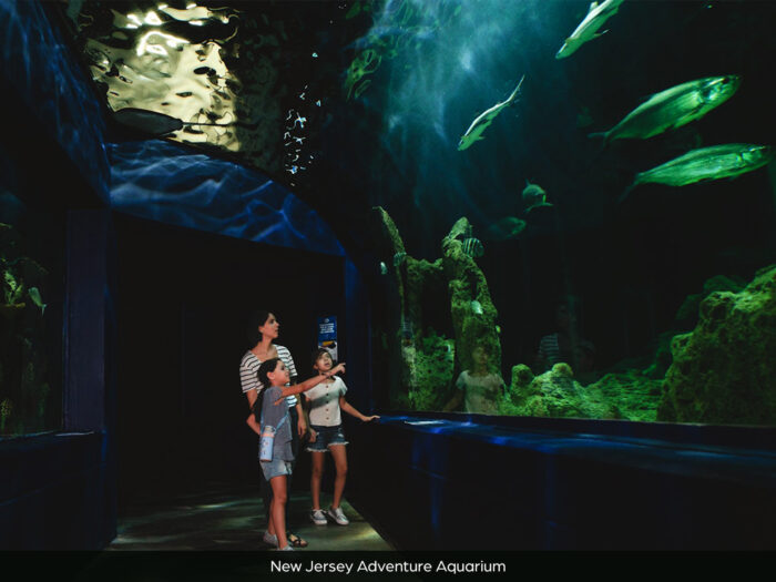 Campus Terrace Nearby Attraction: NJ Adventure Aquarium