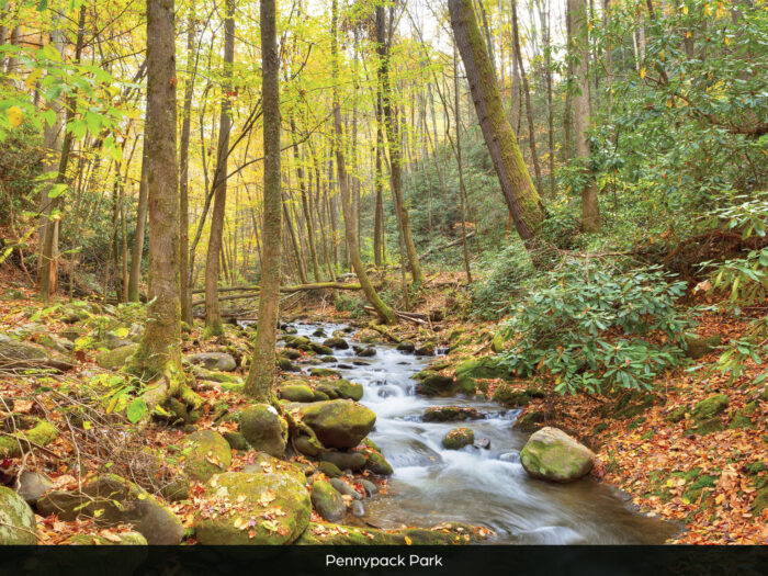 nearby attraction: Pennypack park